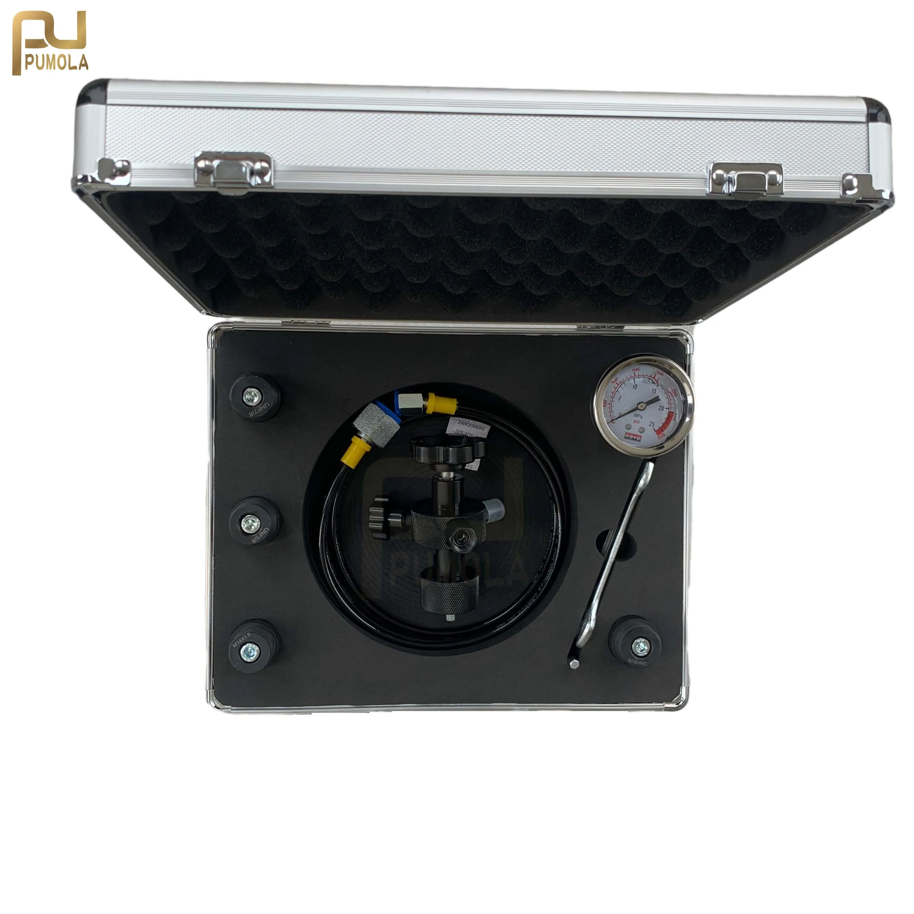 

0-250Bar 3500Psi Pressure Gauge Hydraulic Accumulator Nitrogen Charging Tools Kit Five Types Adapters