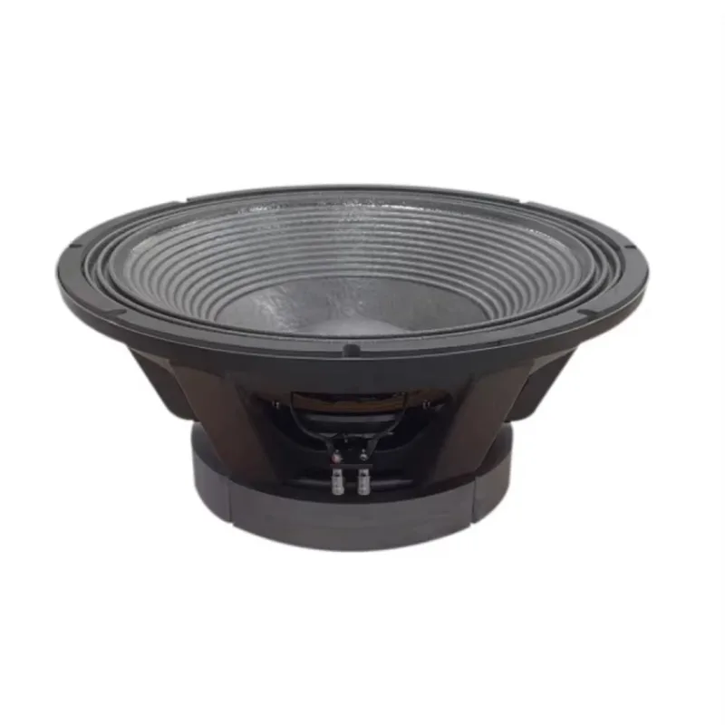 High Performance Powerful 21 Inch Professional Speaker Subwoofer For Stage Outdoor Use