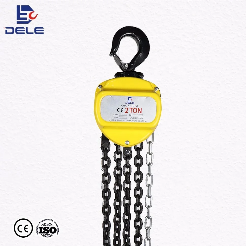 DELE Useful Mechanical Hoist 20T Stainless Steel Manual Chain Hoist Lever Hoist for Sale