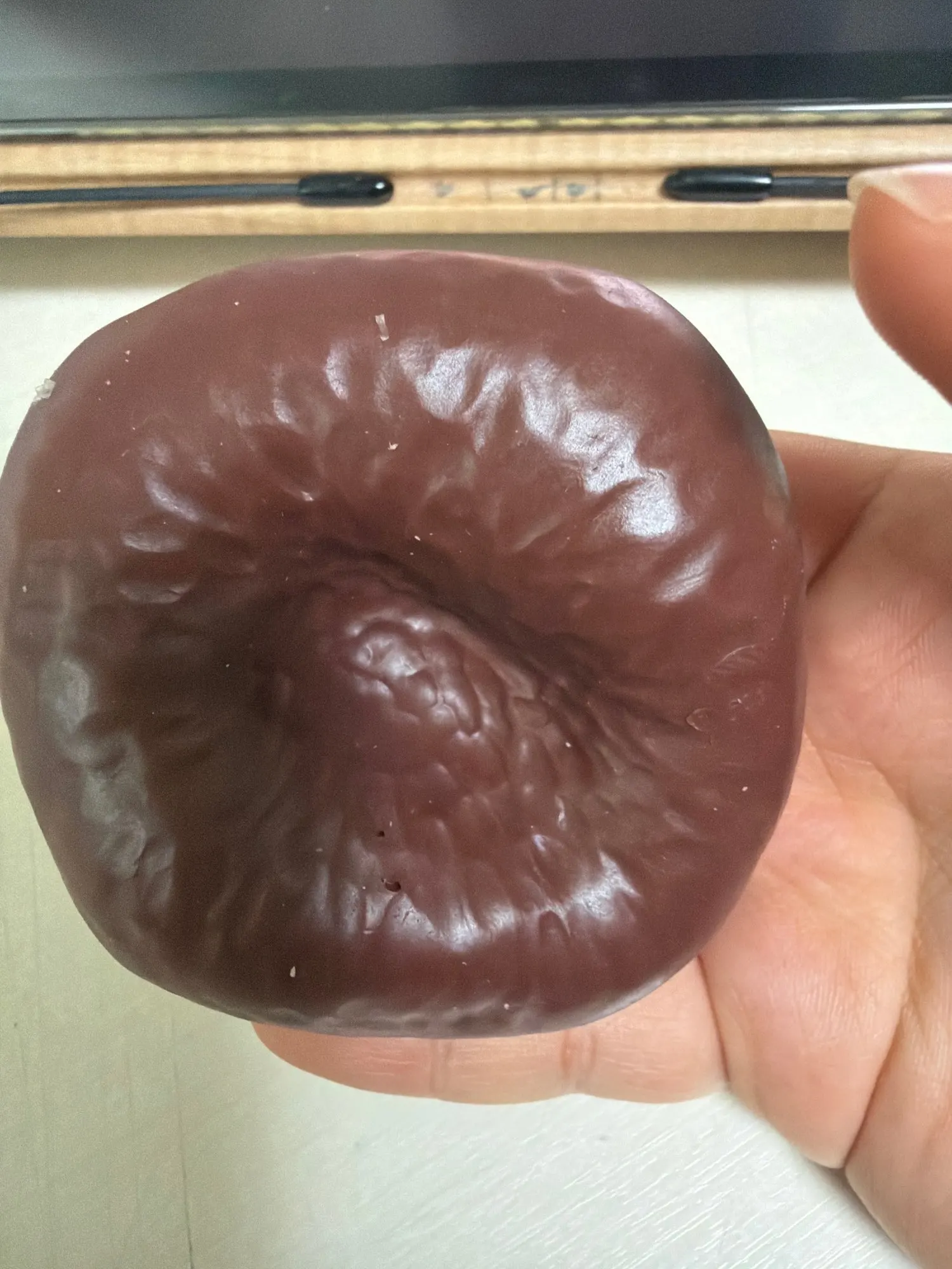 실물 포토 리뷰
