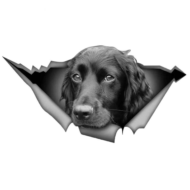 

Personalized Customization Black Cocker Spaniel Car Sticker Decal Waterproof Reflective Sunscreen Car Accessories Decoration