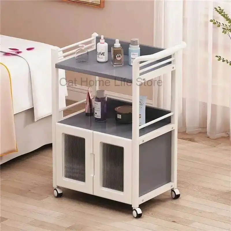 

Auxiliary Cart With Wheels for Beauty Salon Car Accessories Professional Support Furniture Makeup Trolley Aesthetic Wheeled Tray
