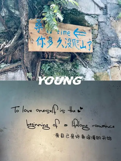 

12mm Brake Disc Metal Decorative Part for MN 1/12 MN128 MN86 MN86S G500 RC Car Metal Upgrade OP Accessories Parts