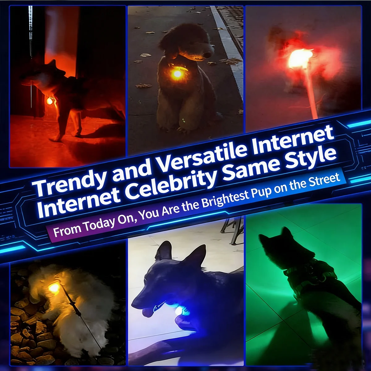 Dog Collar LED Light (USB Rechargeable) Waterproof Flashing Pendant Suitable For Night-time Dog Walking To Prevent Loss alert