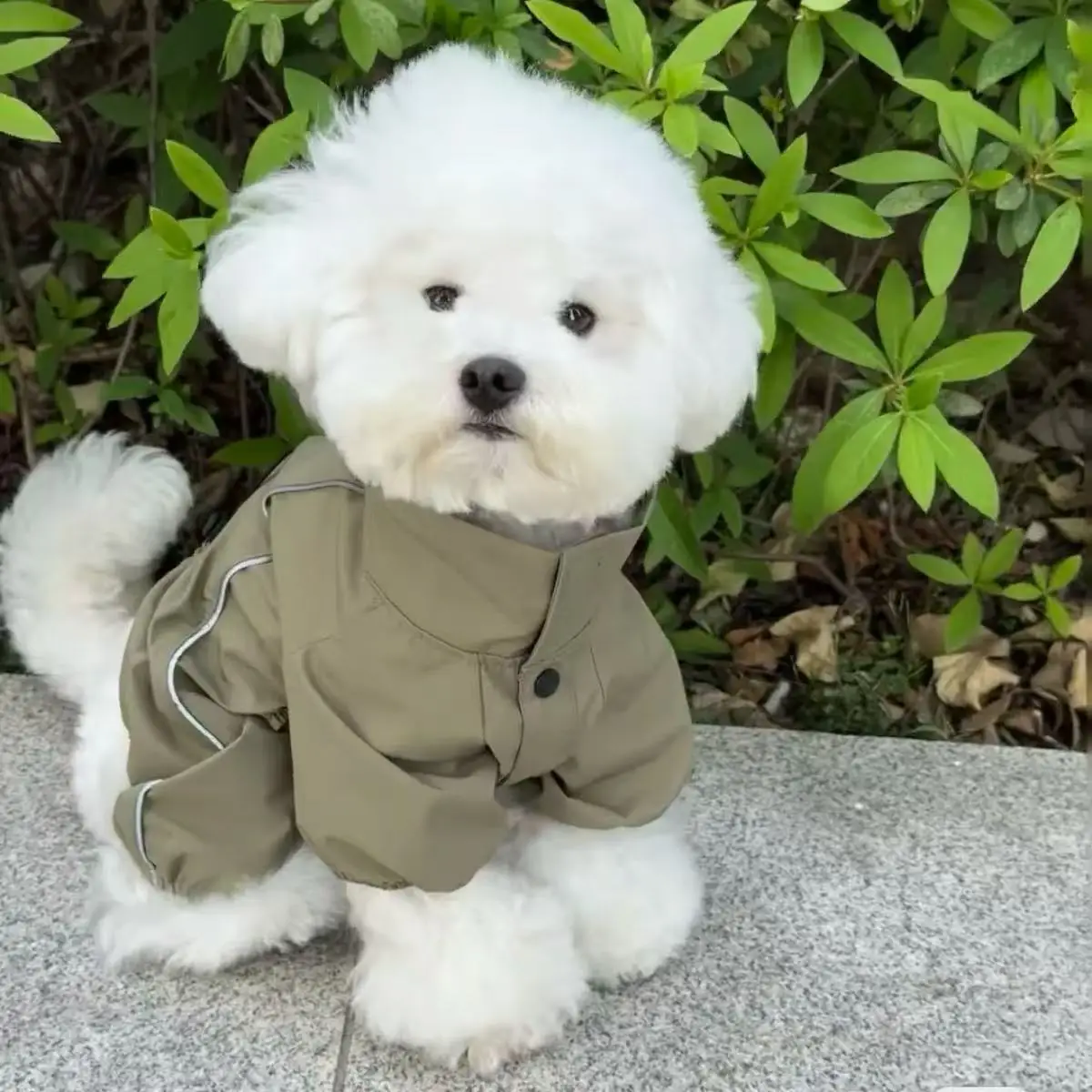 

Pet Dog Cat Windproof waterproof Jacket Lightweight Dog Outdoor Jackets Dog Winter Jumpsuit Dog Rain Coat For Small Medium Dogs