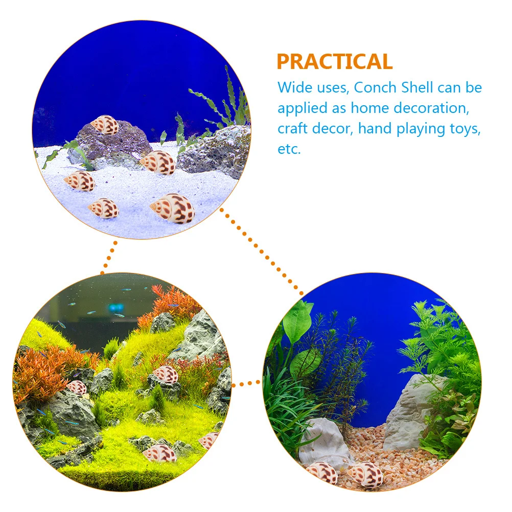 

160Pcs Hermit Crab Shells Natural Shell Crafts Conch Decorations Fish Tank Aquarium Shell Landscape Shells DIY Sea Conch