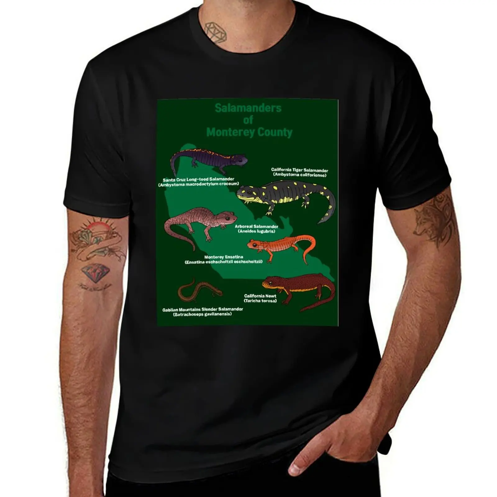Salamanders of Monterey County T-Shirt t shirts for man graphic vintage T-Shirt