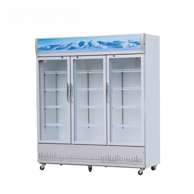 Vertical Drink Refrigerating Showcase Beverage Display Cooler 2 Door Refrigerator