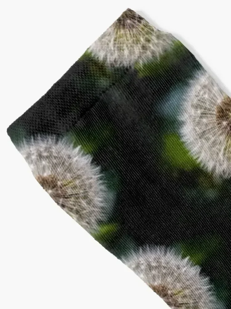 Dandelion Socks winter gifts Novelties kids sports and leisure Socks For Girls Men's