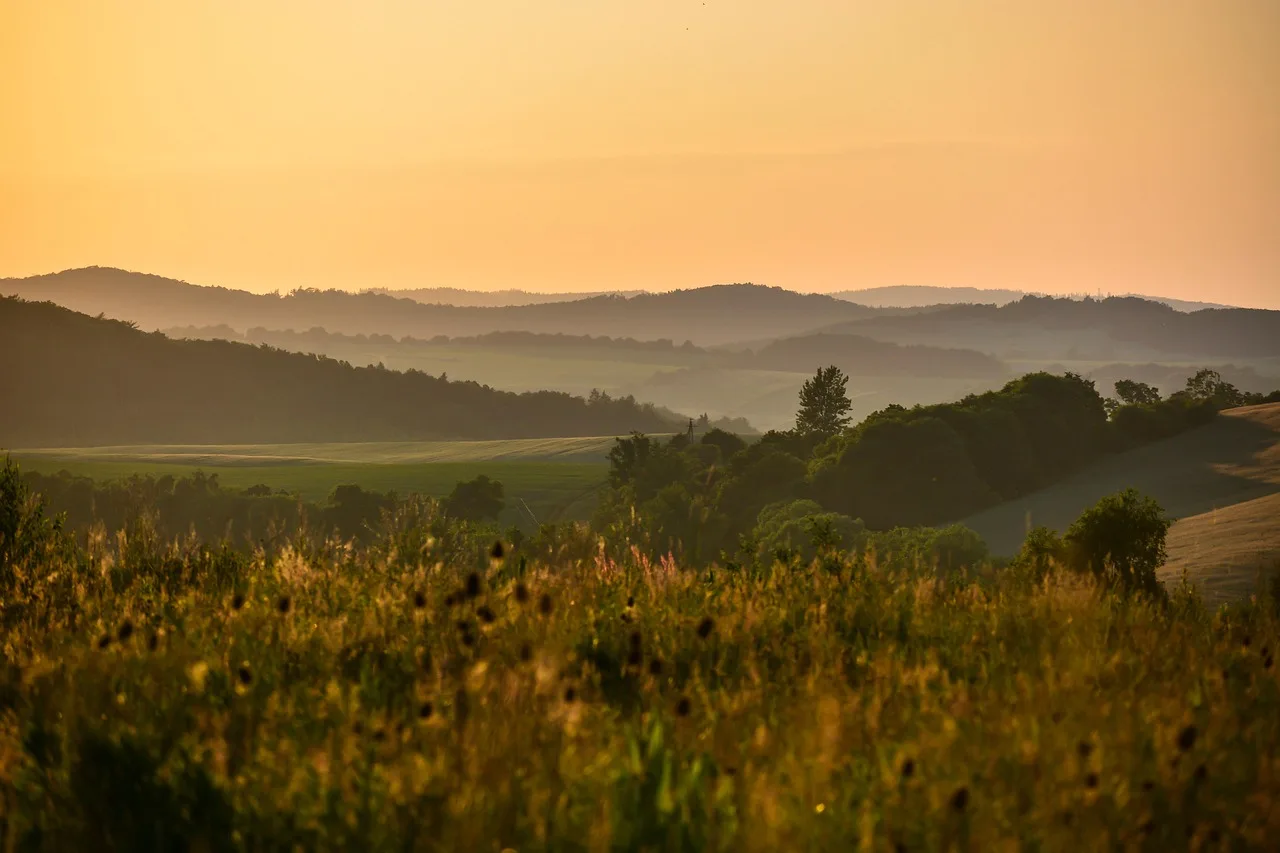 

Bumper Metal with Winch 2 LED Light Remote Controller Receiver for TRX-4 TRX4 Trxs Axial SCX10 RC Crawler Car Parts