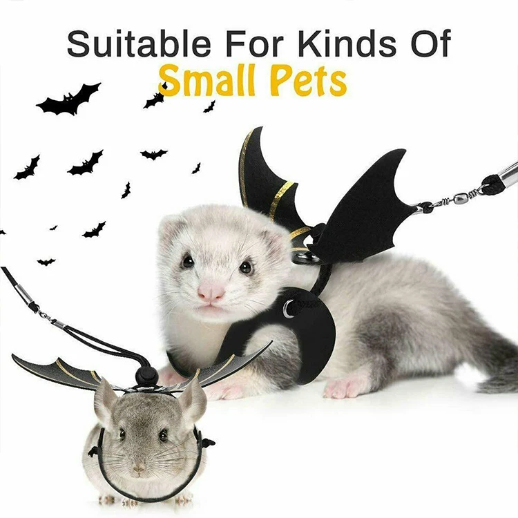 Lizard Leash Reptile Harness for Outdoor Pet Chameleon Squirrel Supplies