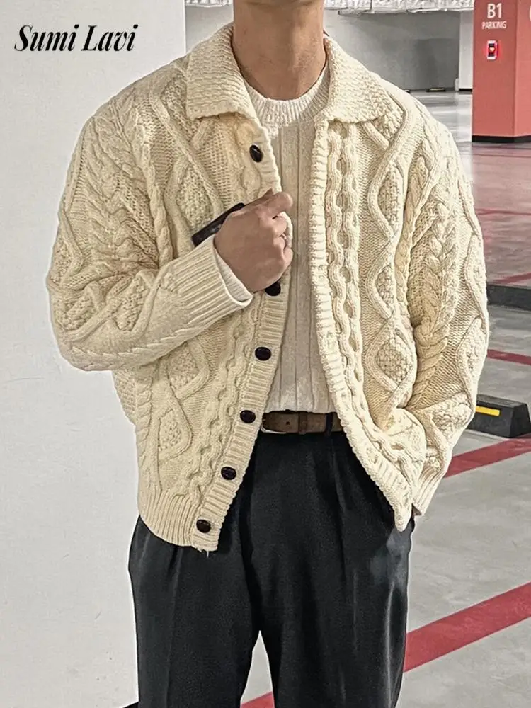 

Stylish Button-up Turn-down Collar Cardigans Mens Knitting Twist Crochet Sweater Jacket Men Fall Winter Vintage Knitted Coats