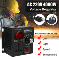 Voltage Regulator Portable For Light Speed Temperature Volts High Power AC 220V 4000W Variable Voltage Controller