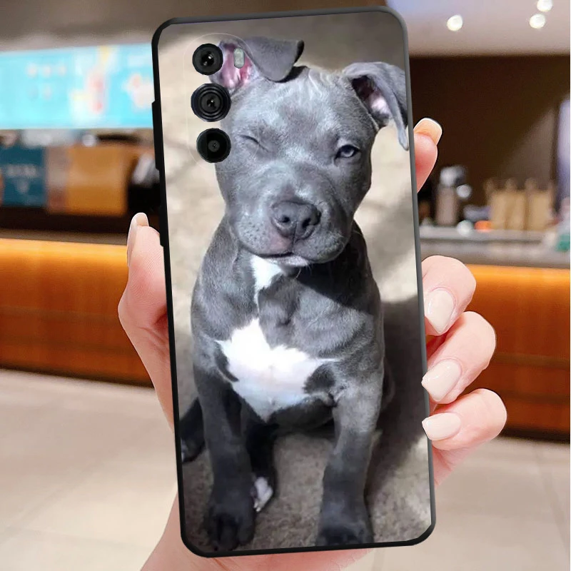 

Phone Case For Motorola Edge 50 40 Pro 60 50 40 30 Ultra Neo Fusion Moto G Play G Stylus G Power G Pitbull Terrier Dog