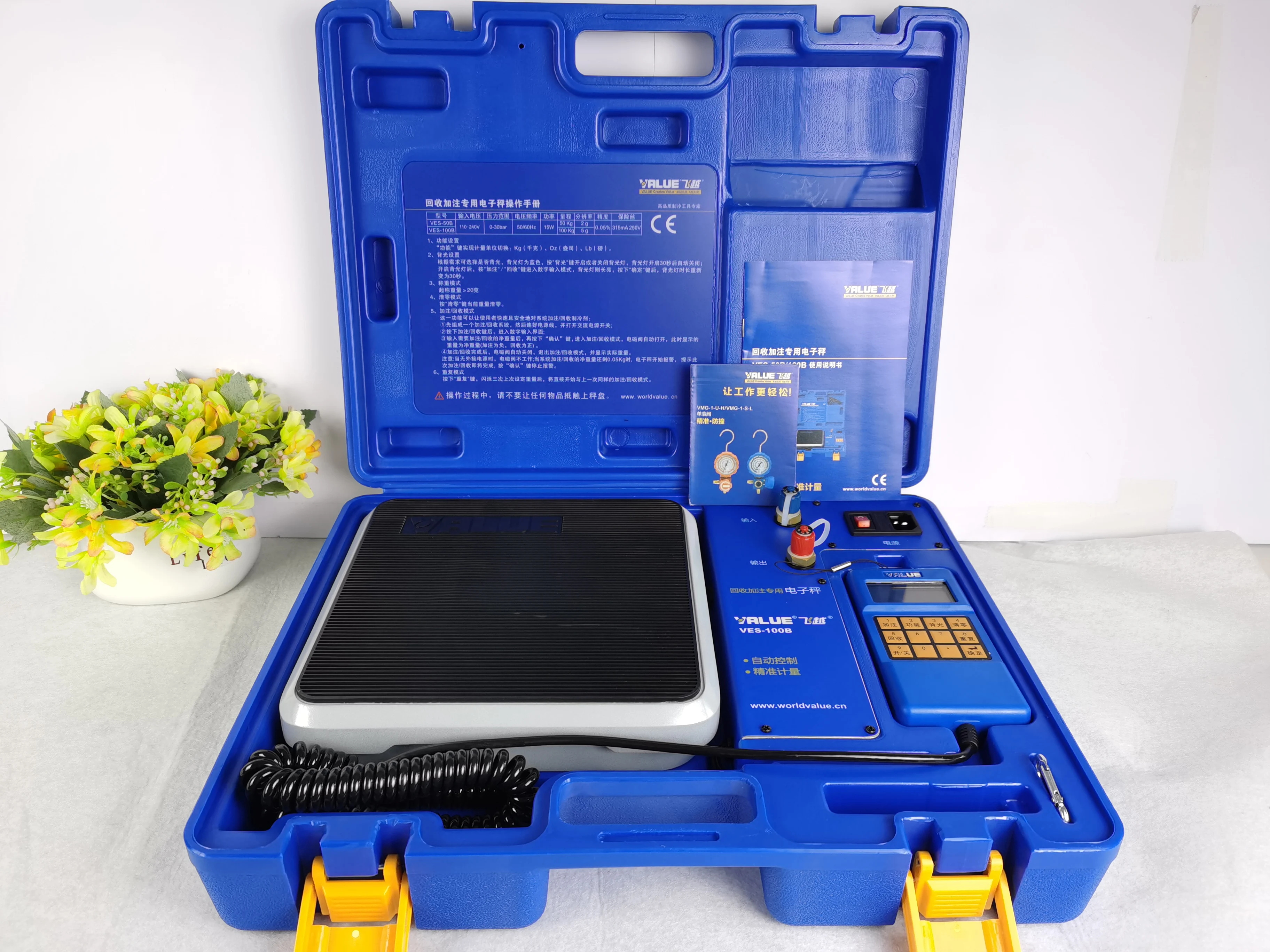 Valeur indispensable de VES-100B balance électronique de forteresse numérique