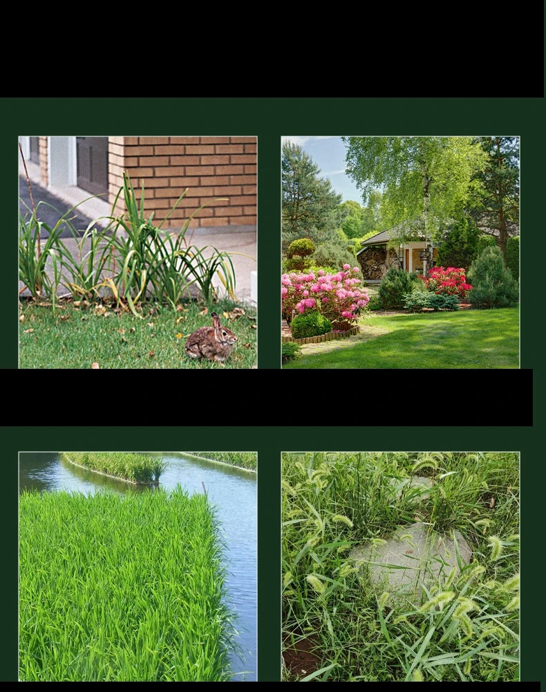 2T/3T/4T Nylon-Grasschneiderklinge Universeller Ersatzkopf für Freischneider, Rasenmäher, Gartenwerkzeug-Zubehör – Detail 2