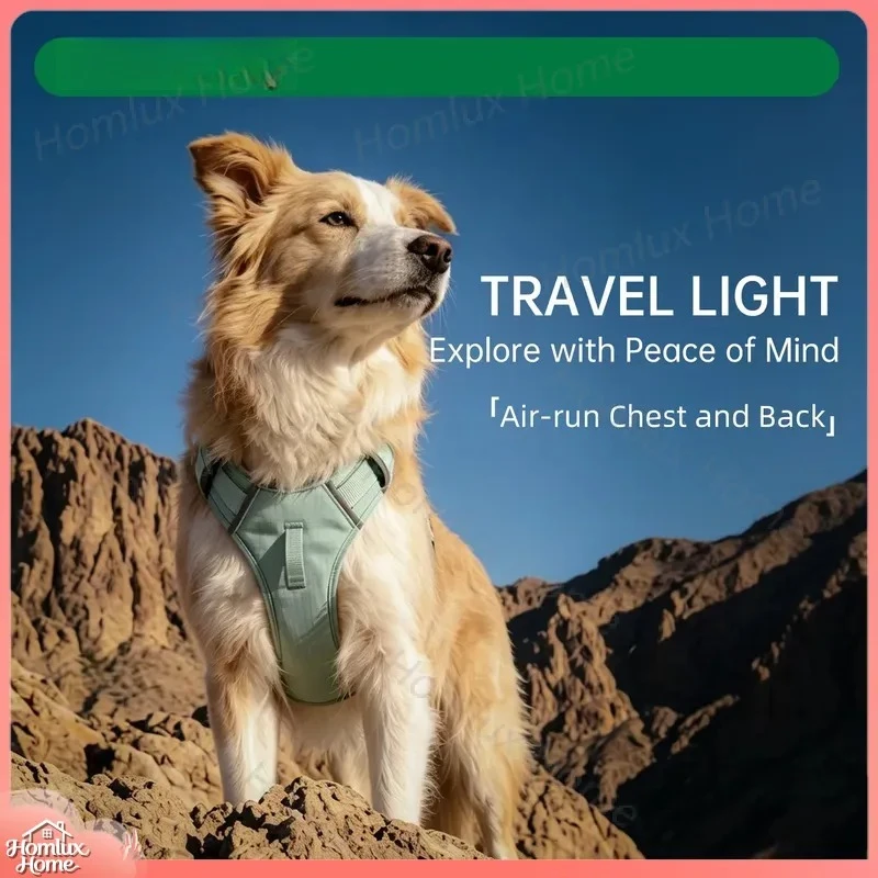 Reflective Dog Chest Strap Adjustable Non Slip Nylon Harness for Night Walking Safety Pet Leash Control Training Gear Small