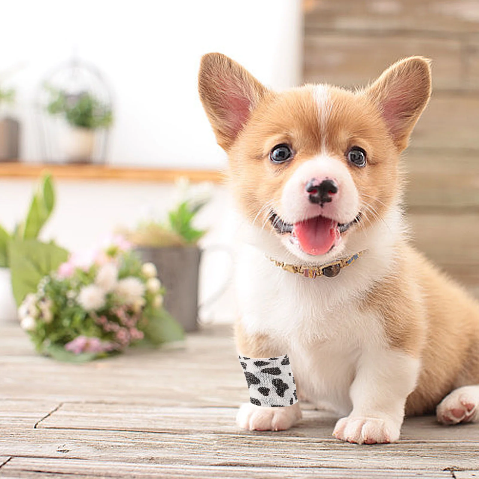 6 gulungan pita penutup pegangan ternak perban berperekat Pet pita bukan tenun pembungkus anjing binatang peliharaan elastis lucu