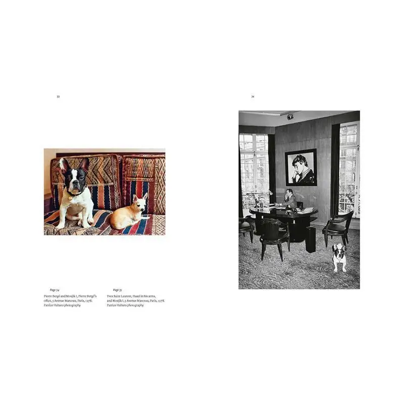 يفيس سانت لورنت وكلابه أميغوس للأبد مارتن بيثينود إديشنز نورما 9782376660989 كتاب #2