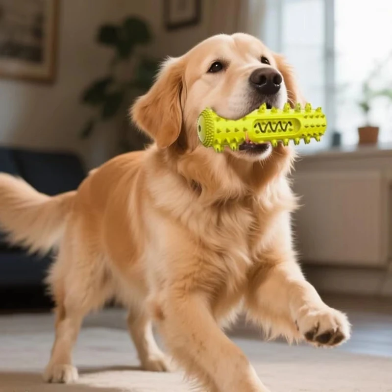 

Dog Chew Toys Interactive Dental Care Toothbrush Design Squeaky Teething Rubber Bone For Chewers Cleaning And Massaging Gums