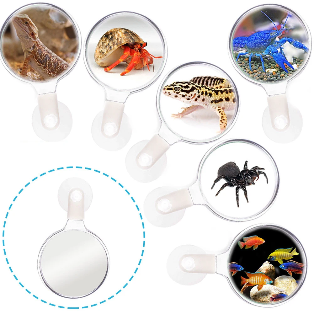 Fish Tank Magnifying Glass Aquarium Magnifier Acrylic Suction Cups Fish Tank Viewer Micro Landscape And Small Animal Observation