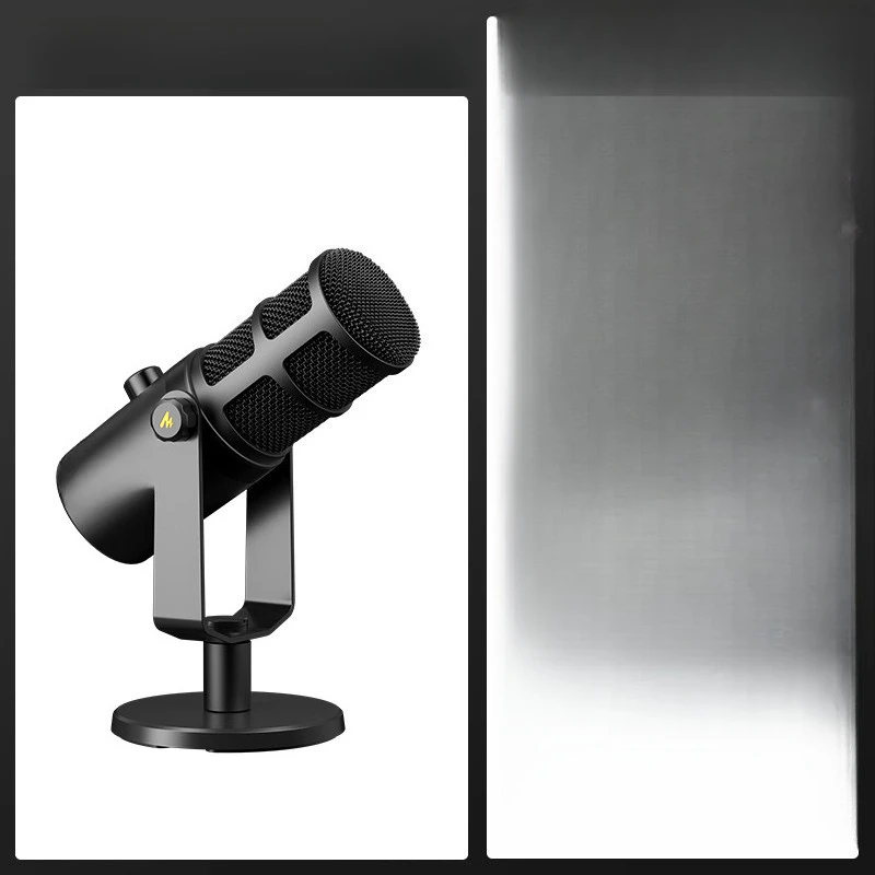 

Dynamic microphone recording dubbing live streaming host