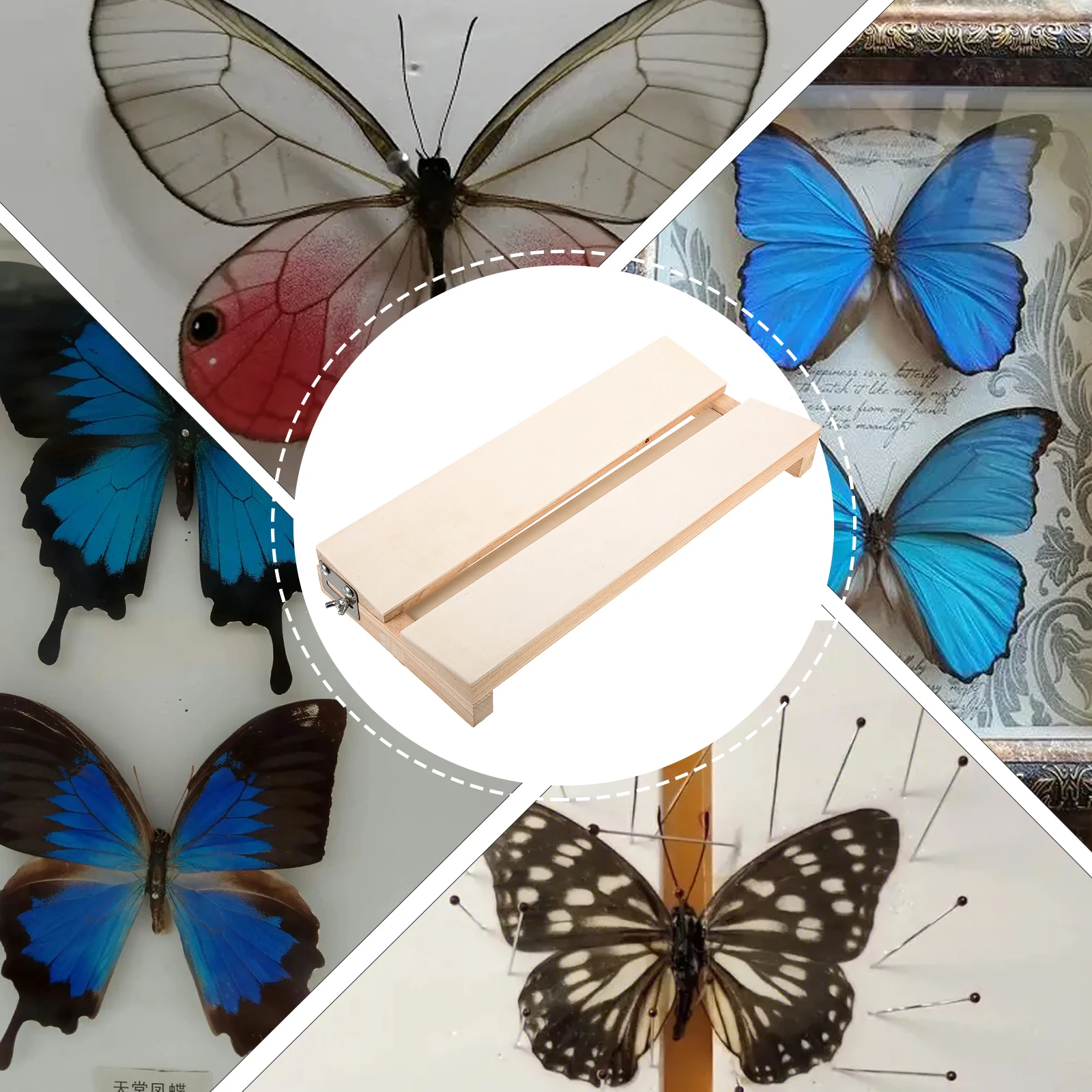  Butterfly Specimen Tool Wing Spreading Board Display Plate Butterflies Science Kit Fairy Child