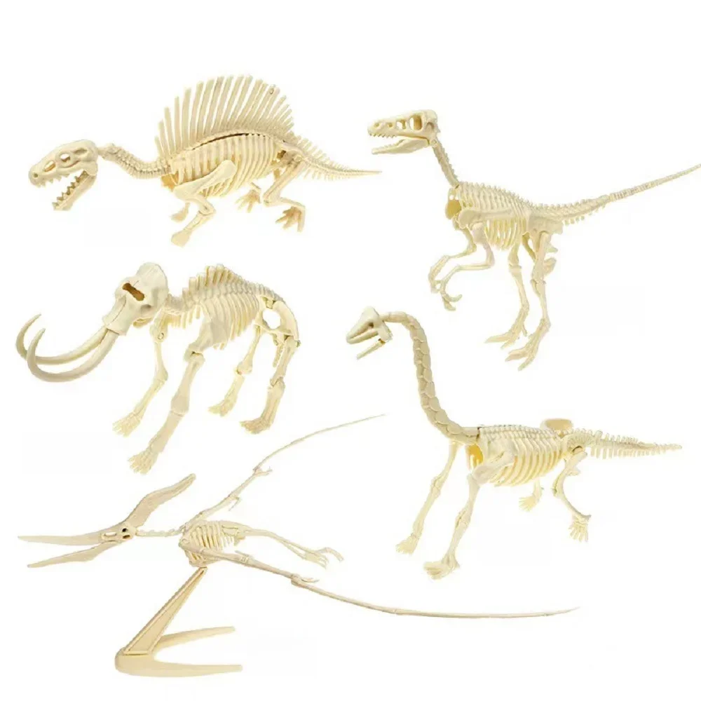 3D Puzzle Dinosaur Fossil Skeleton Action Figure Plastic Handicraft DIY Dinosaur Bone Model For Adults Creative Assemble Gifts
