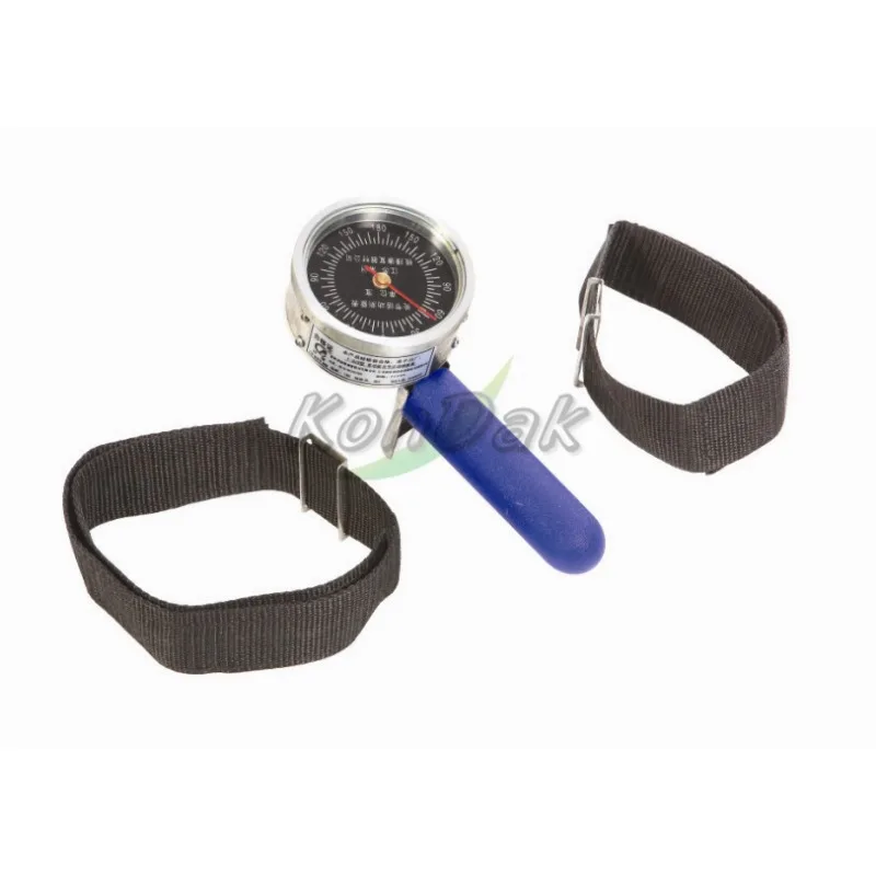 Back-leg-chest Dynamometer for physiotherapy use