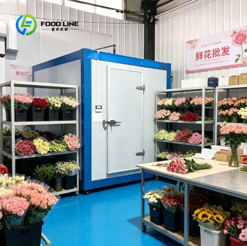 Small Commercial Cold Room Refrigeration Freezer Food Preservation Industrial Storage Unit for Flower Food Meat