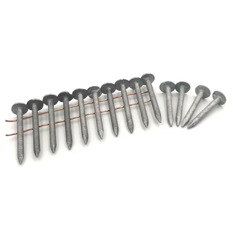 

#Manufacture 1 inch galvanized large flat head clout nails felt nails