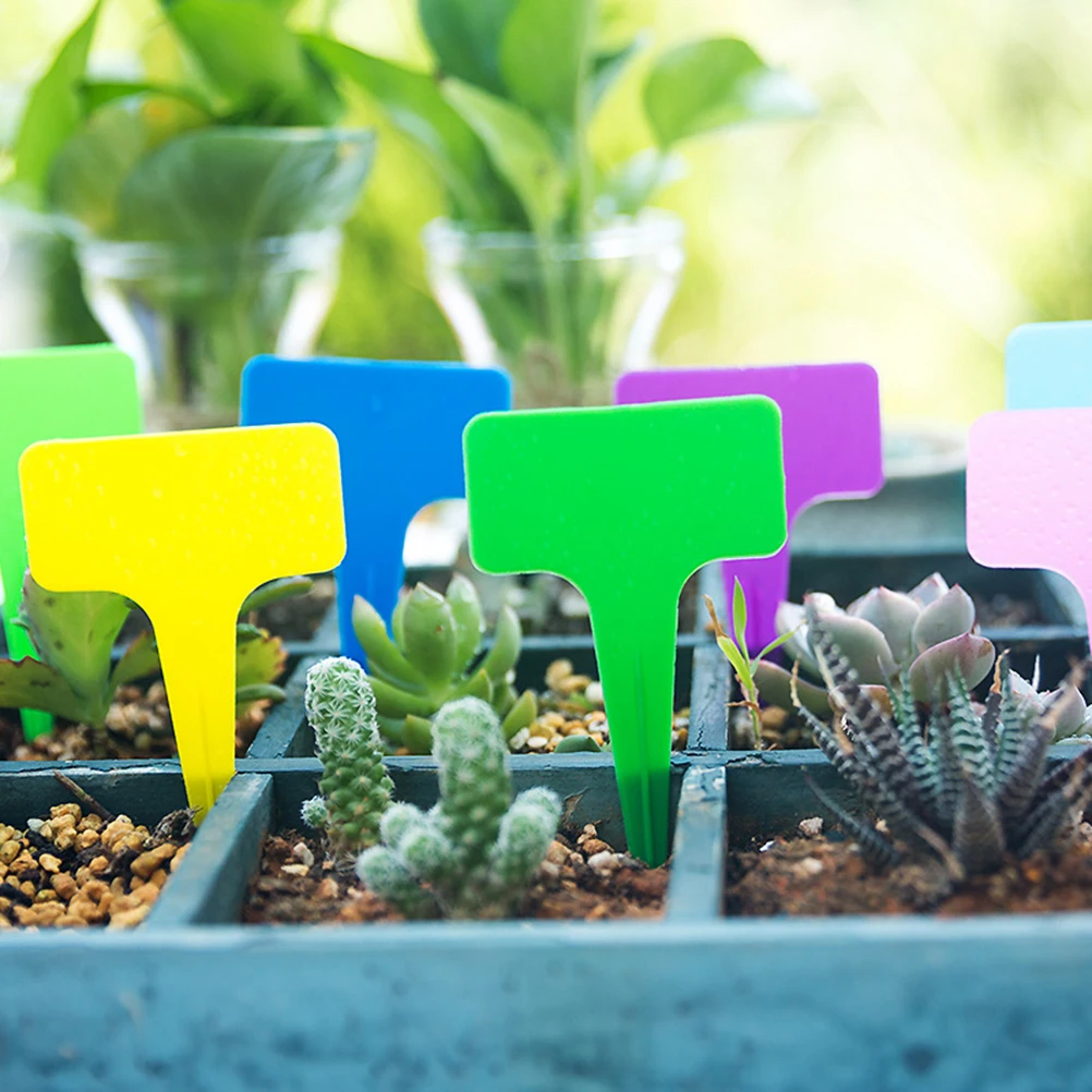 

200 Pcs T-shaped Garden Labels Plant Markers Reusable Waterproof Tags Nursery Flowers Greenhouse Potting Test Durable Stakes