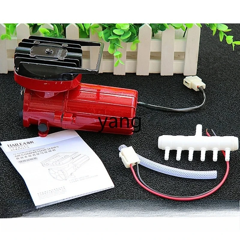 LM, battery DC oxygen pump aerator 12v market sells fish oxygen pump