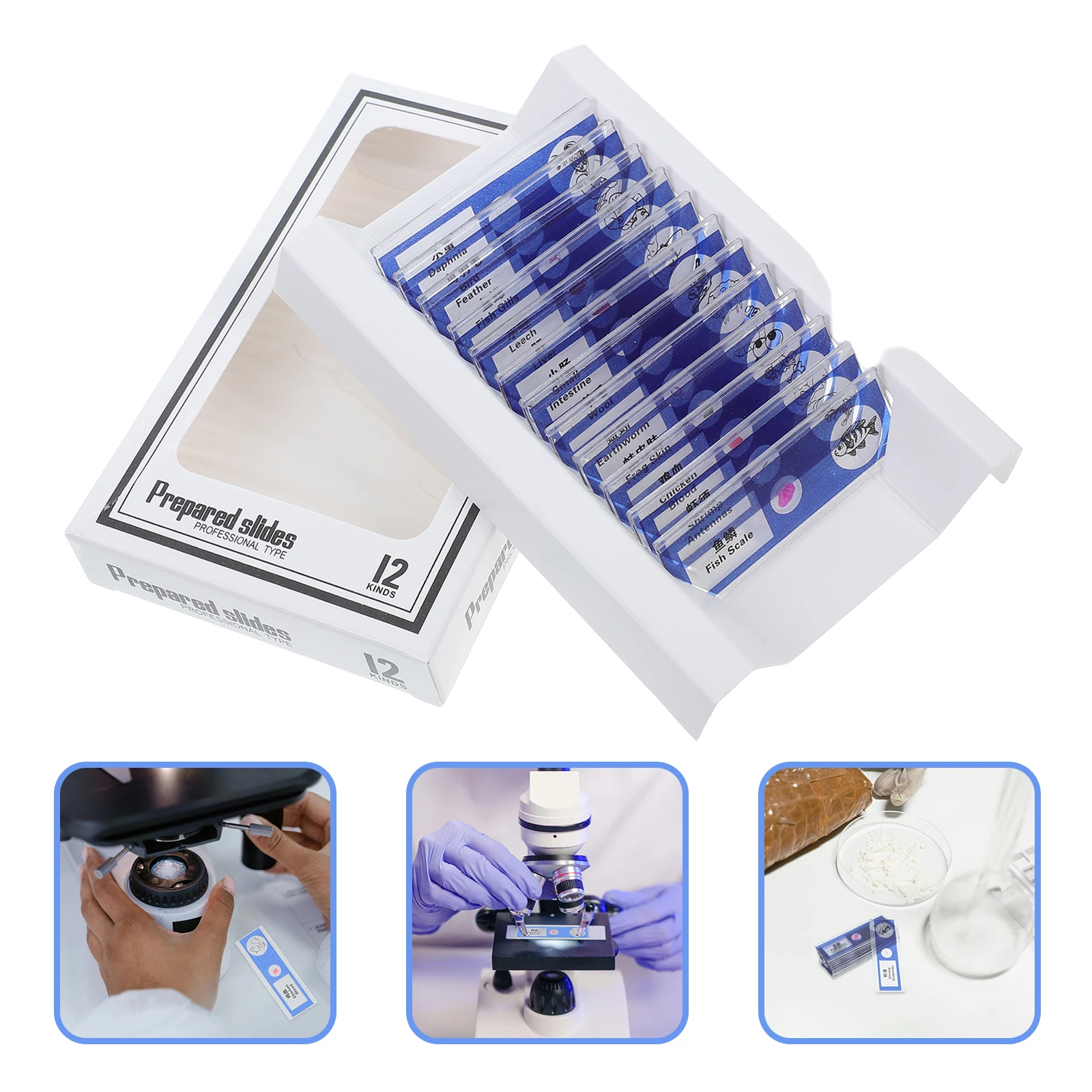 

Biological Sample Sections Microscope Biology Prepared Slides Animal Collection Child