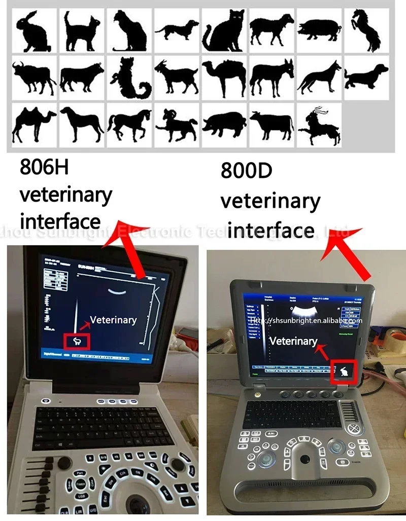 Cheap Ecograph Laptop Black and White Ultrasound cheaper than logiq ultrasound 2D machine