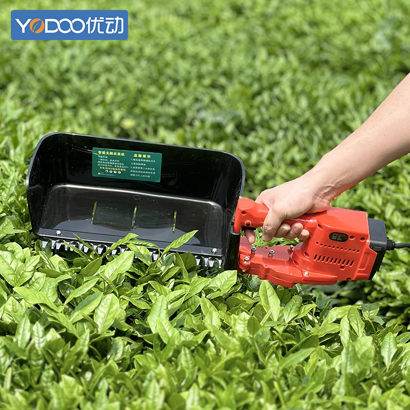 factory price Electric Handheld Tea Picker Tea Harvester Handheld Tea Picking Machine no battery