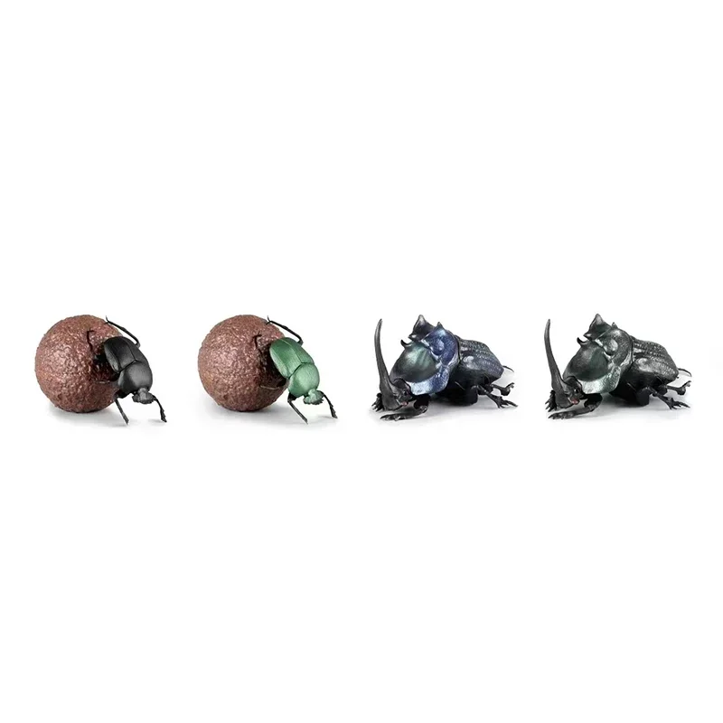 SO-TA Gashapon Capsule Toys Insect Creature Kawaii 1/1 Dung Beetle Scarab Model Ornaments Cute Action Figure Gift