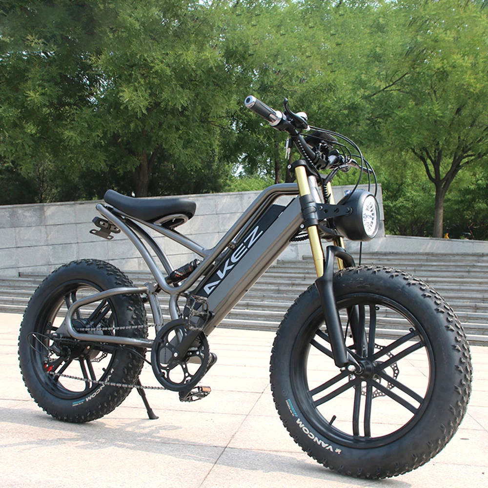 

2023 New High Speed Ebike Fat Tire Electric Bicycle 750W 48V E-Bike 20 Inch E Mountain Bike Electric Dirt Bike