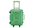 clear green L