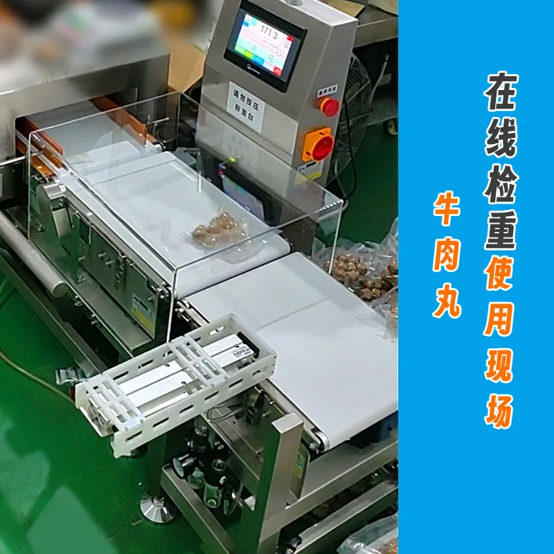 Automatic Checking Scale, Weighing Machine, Dynamic Food Testing Machine