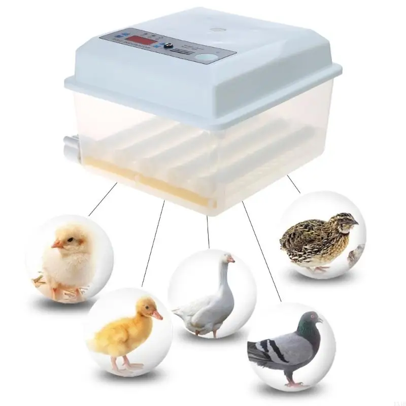 KX4B Professional 6 Eggs Incubator Automatic Hatchery Machine Digital Display Birds Brooder Thermostat Breeding Hatching Chicken