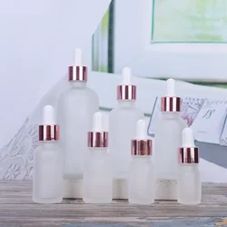 Frosted Glass Dropper Bottles Empty Essential Oil Bottles Jars Vials with Pipettes Perfume Bottles