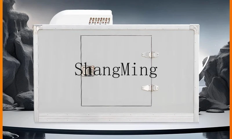 ZYY piccolo frigorifero congelatore portatile fresco congelato mobile