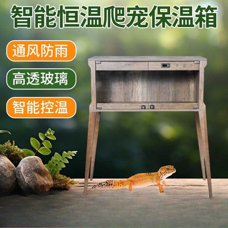 Glass temperature control incubator mane lion gecko climbing solid wood tortoise insulated terrarium
