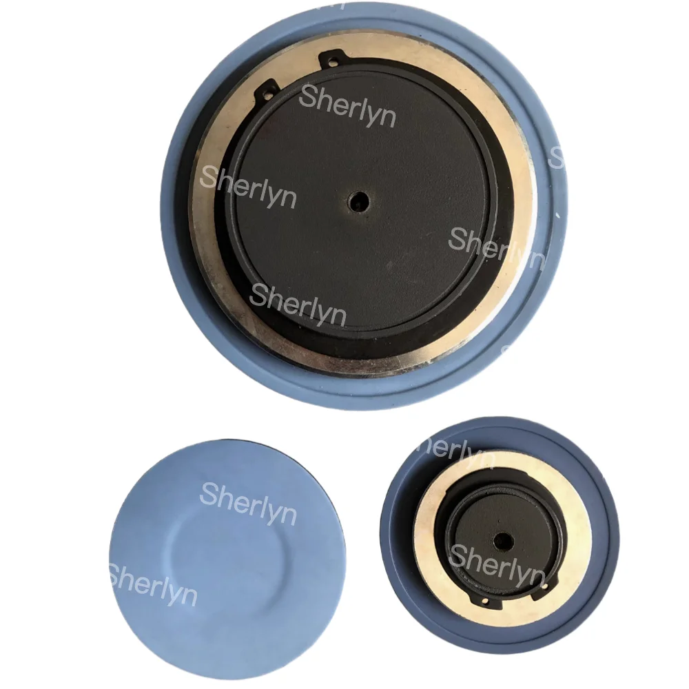 SEKO Metering Pump Accessories Diaphragm MS1B108C314080 MS1B138C31C4080 Saigao Composite Membrane