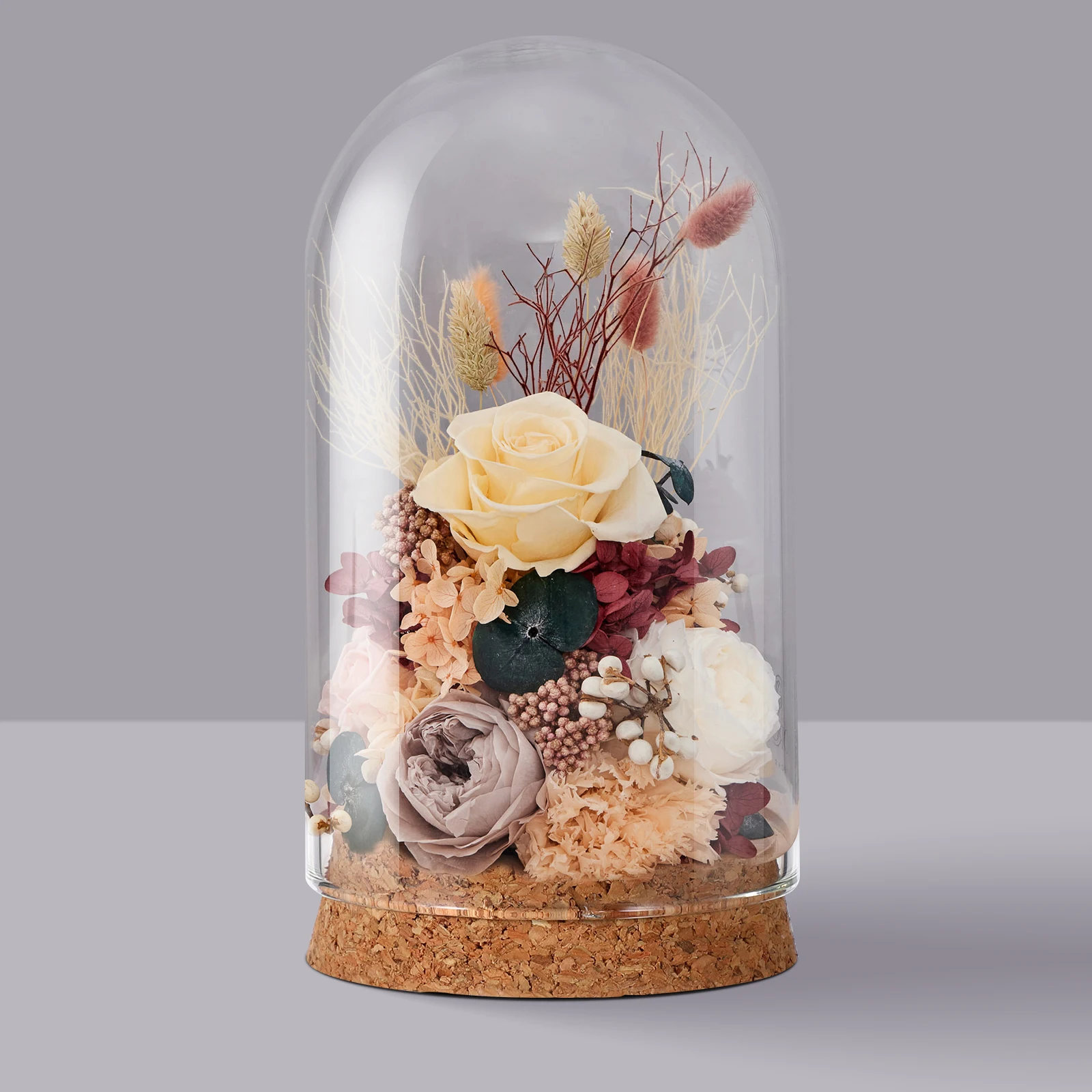 5Pcs Clear Glass Dome With Cork Base Eternal Flower Cover For Decor Glass Display Case Figurines Miniatures Decorative