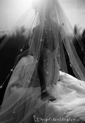 New Arrive One Layer Pearls Wedding Veil with Comb Romantic Floral Bridal Veil Wedding Accessories
