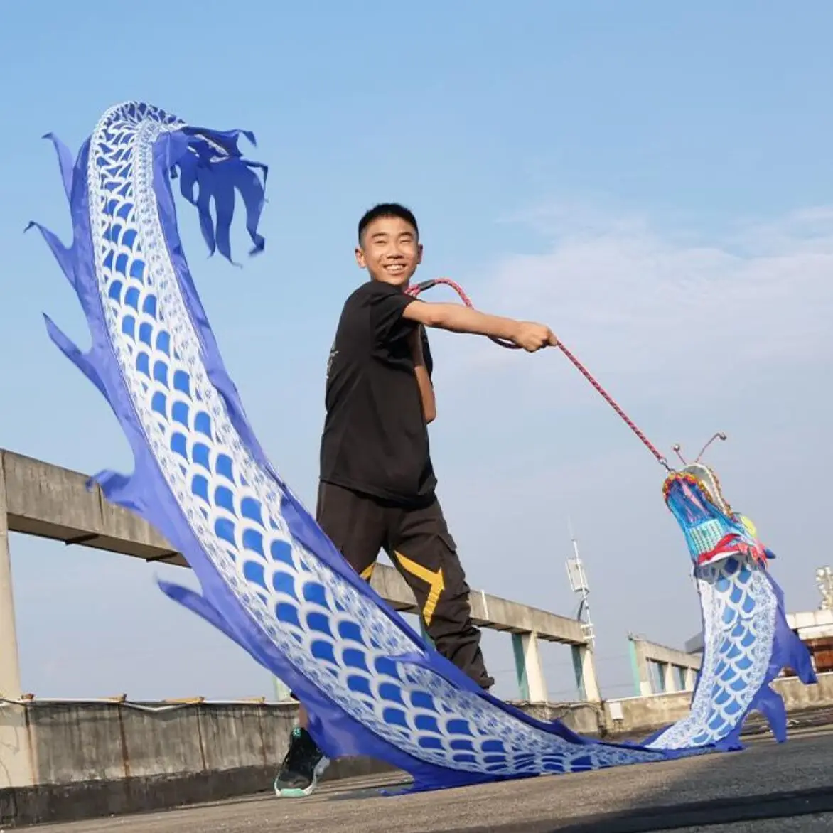 Blue White Dragon Dance Props For Festival Performance Fitness Dragon Products New Year Traditional Gifts