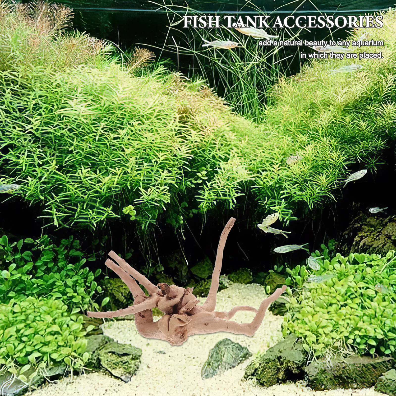 3 pièces de bois flotté pour a - Aquarium Driftwood avis et prix