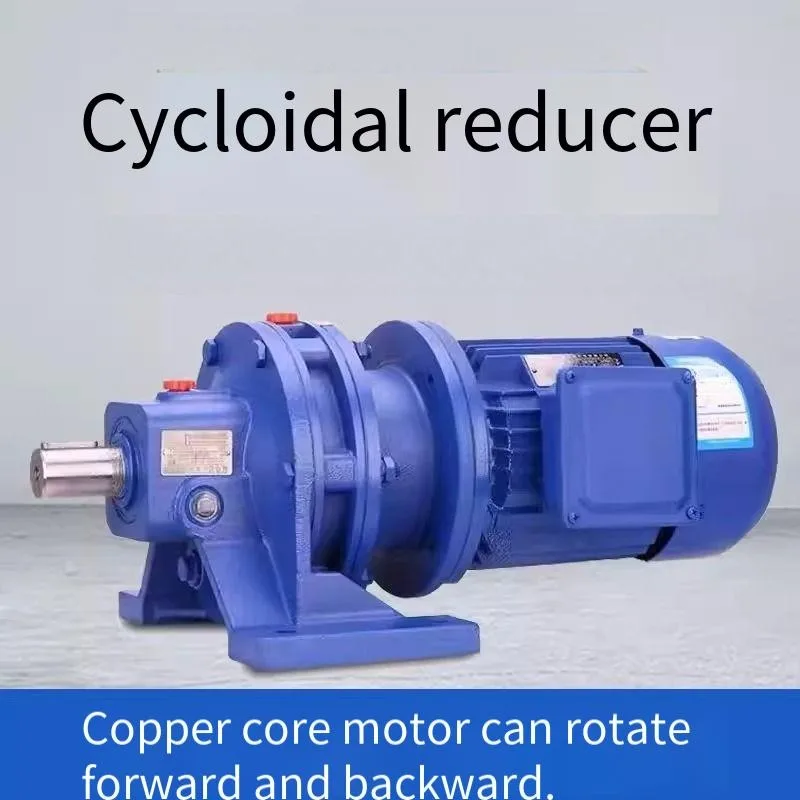 Industrial Cycloidal Gear Reducer Horizontal Vertical Mounting High Torque Speed Reducer With Copper Motor For AgitatorMachinery